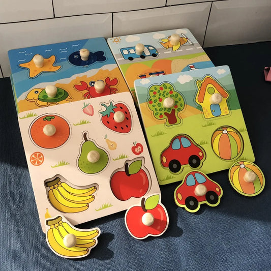Wooden Puzzle Toy Set